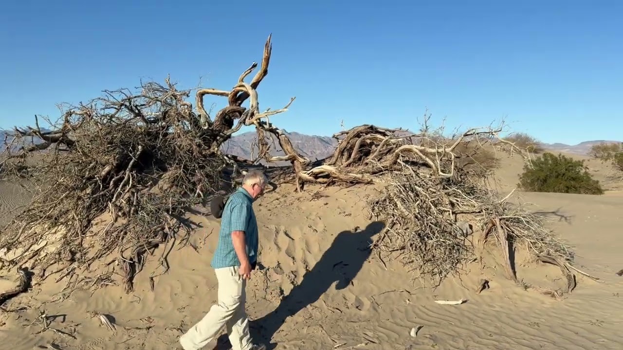 Can You Do Death Valley in a Day?  Las Vegas Road Trip. We Rent A Car To Find Out.