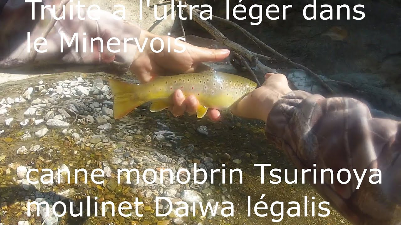 P&ecirc;che de la truite a l'ultra l&eacute;ger dans le minervois