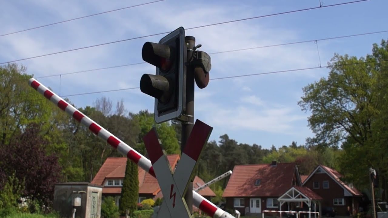 Mechanische bellen An der Waldschule Leschede (D)