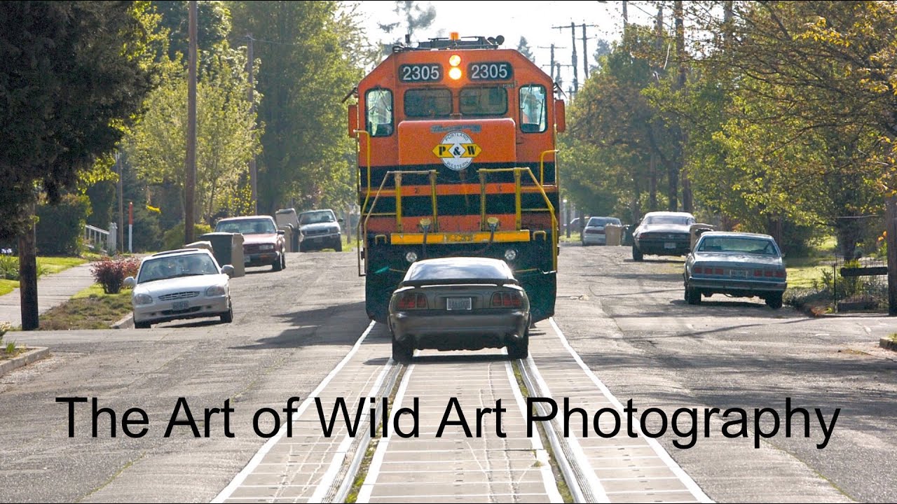 Deconstructing Photography | The Art of Wild Art Photography