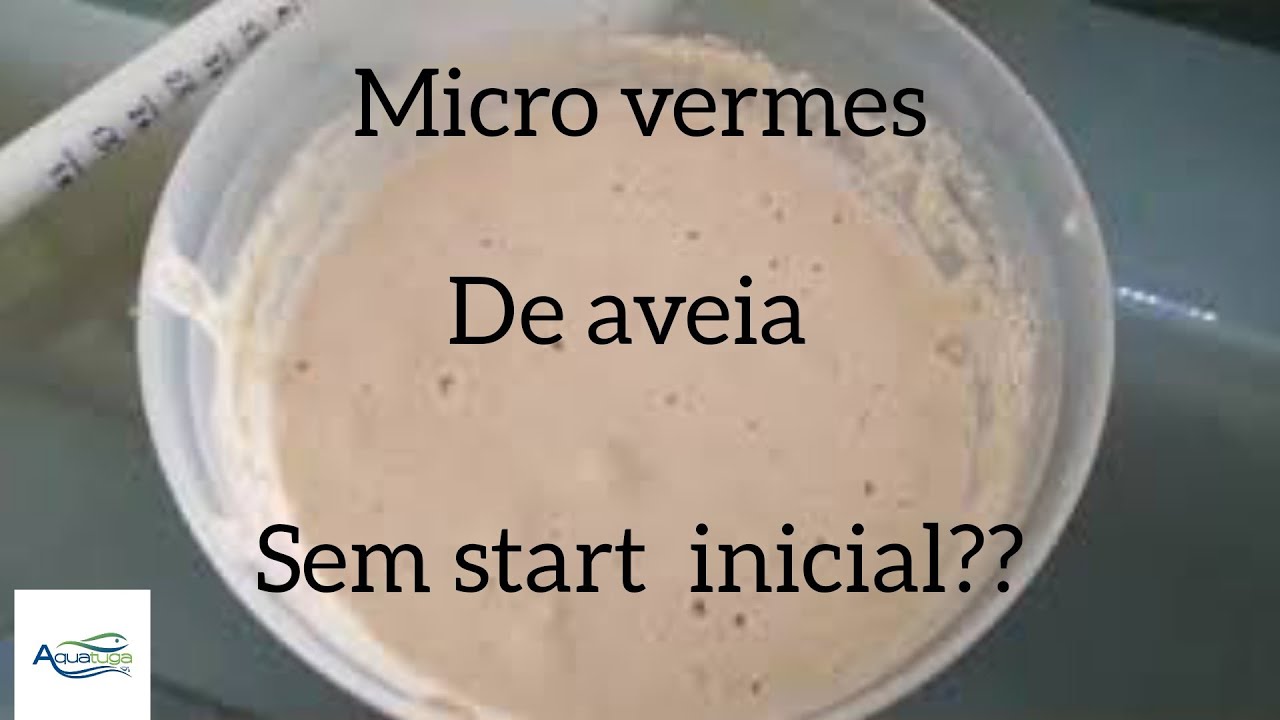 Como criar micro vermes de aveia sem start inicial
