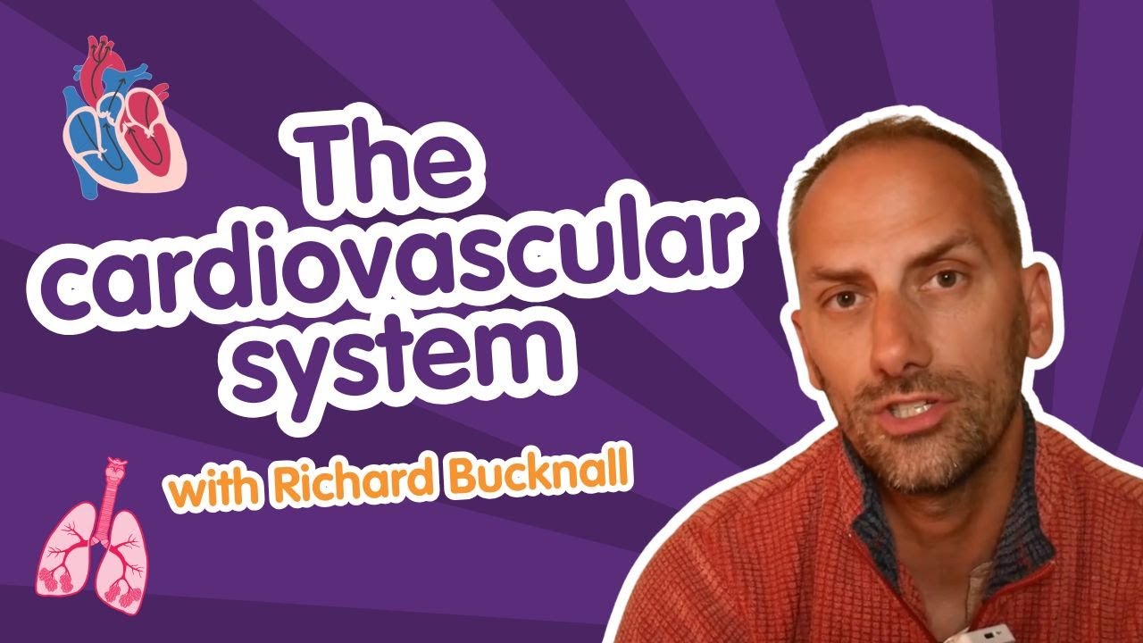 Tricky Topics in PE: The Cardiovascular System