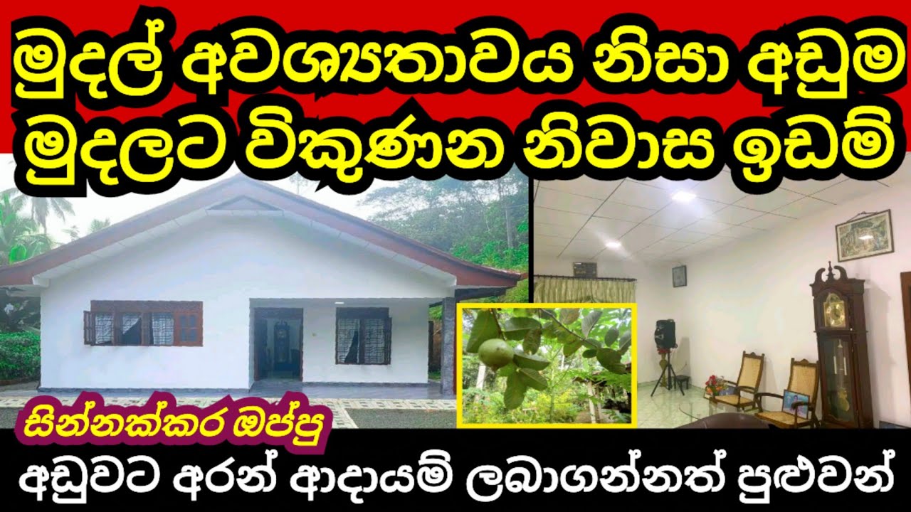මුදල් හදිසිය නිසා අඩුවට විකුණන නිවාස ඉඩම් | Land for sale | Aduwata idam | House for sale | Idam