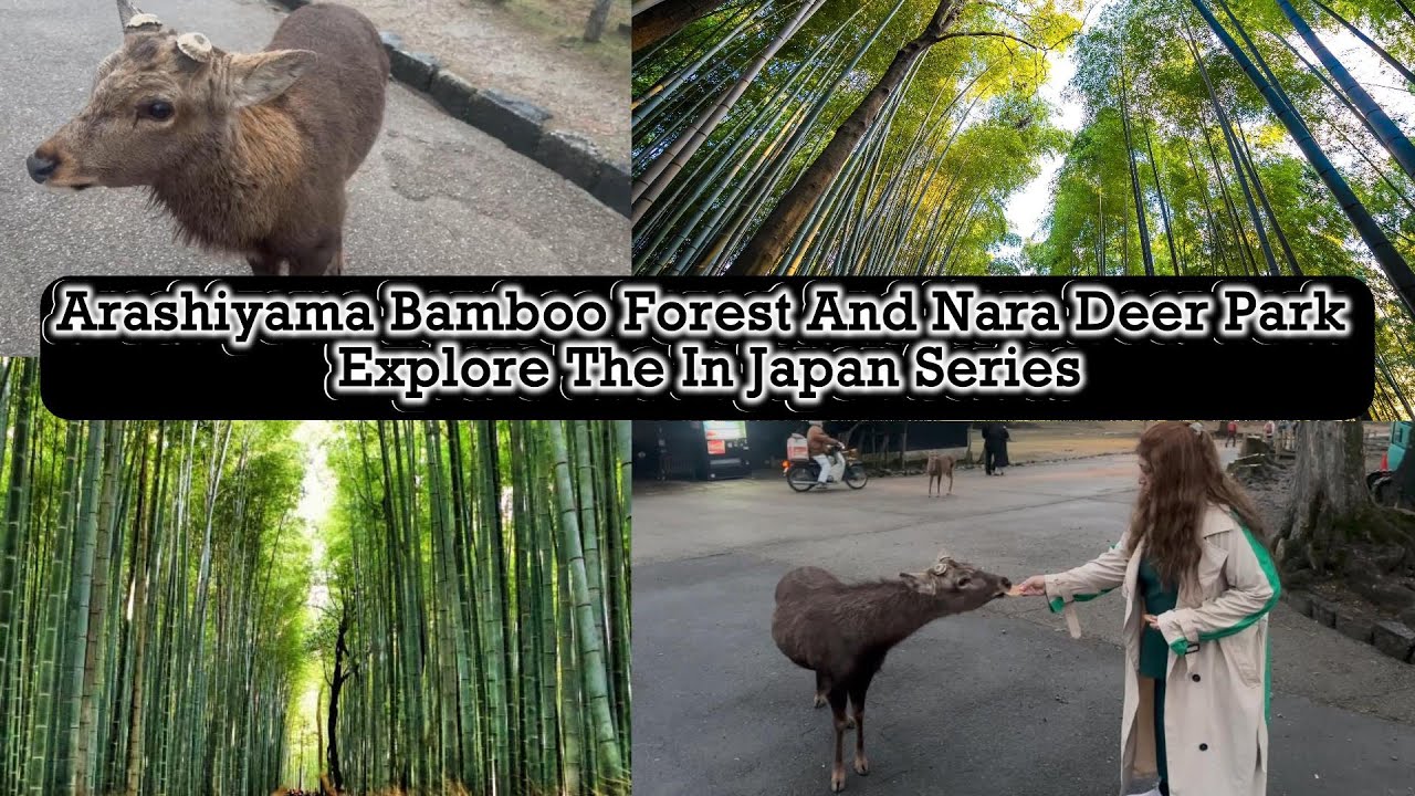 Japan Series ||  Arashiyama Bamboo  Forest And  Nara Deer Park || Explore In Japan