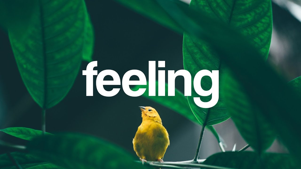 Subspace - Feeling (ft. Adeline Um) [Lyrics video] (Magic Free Release)