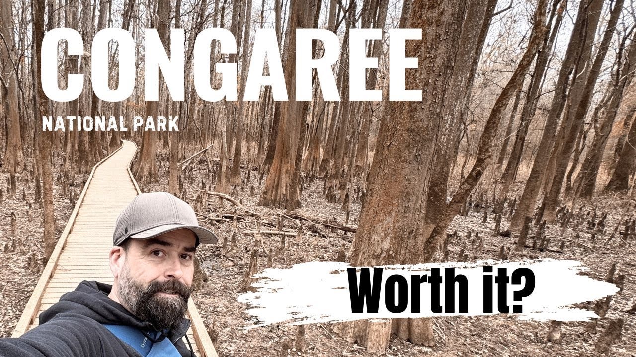 Congaree National Park: Boardwalk Trail & Getting Lost