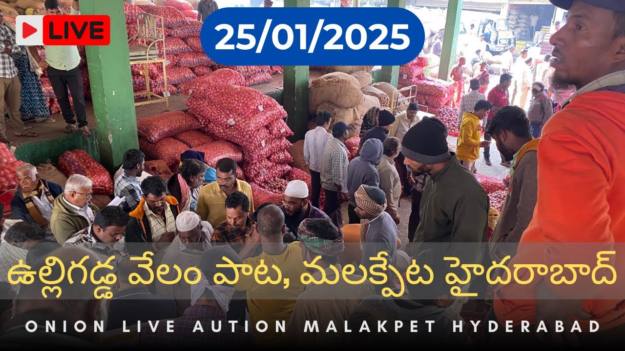 Onion price today, malakpet, hyderabad, 25/01/2025 | Live Auction 