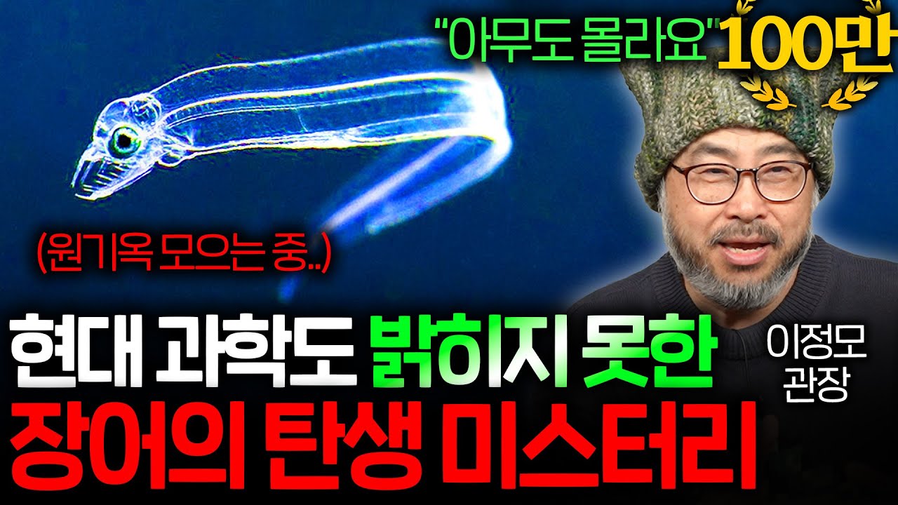 백악기부터 살았던 장어가 어떻게 번식해 왔는지 아무도 모르는 이유 | 과학정모 EP.16