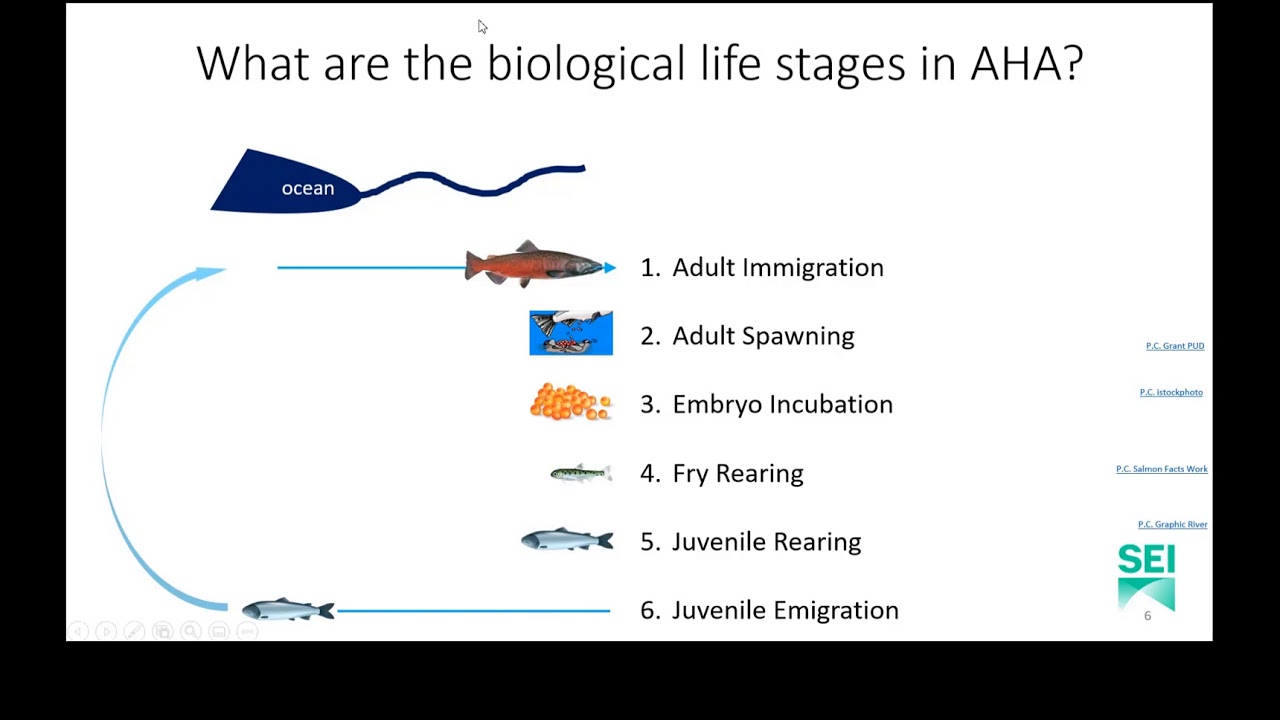 WEAP Plugin for Aquatic Habitat Assessment