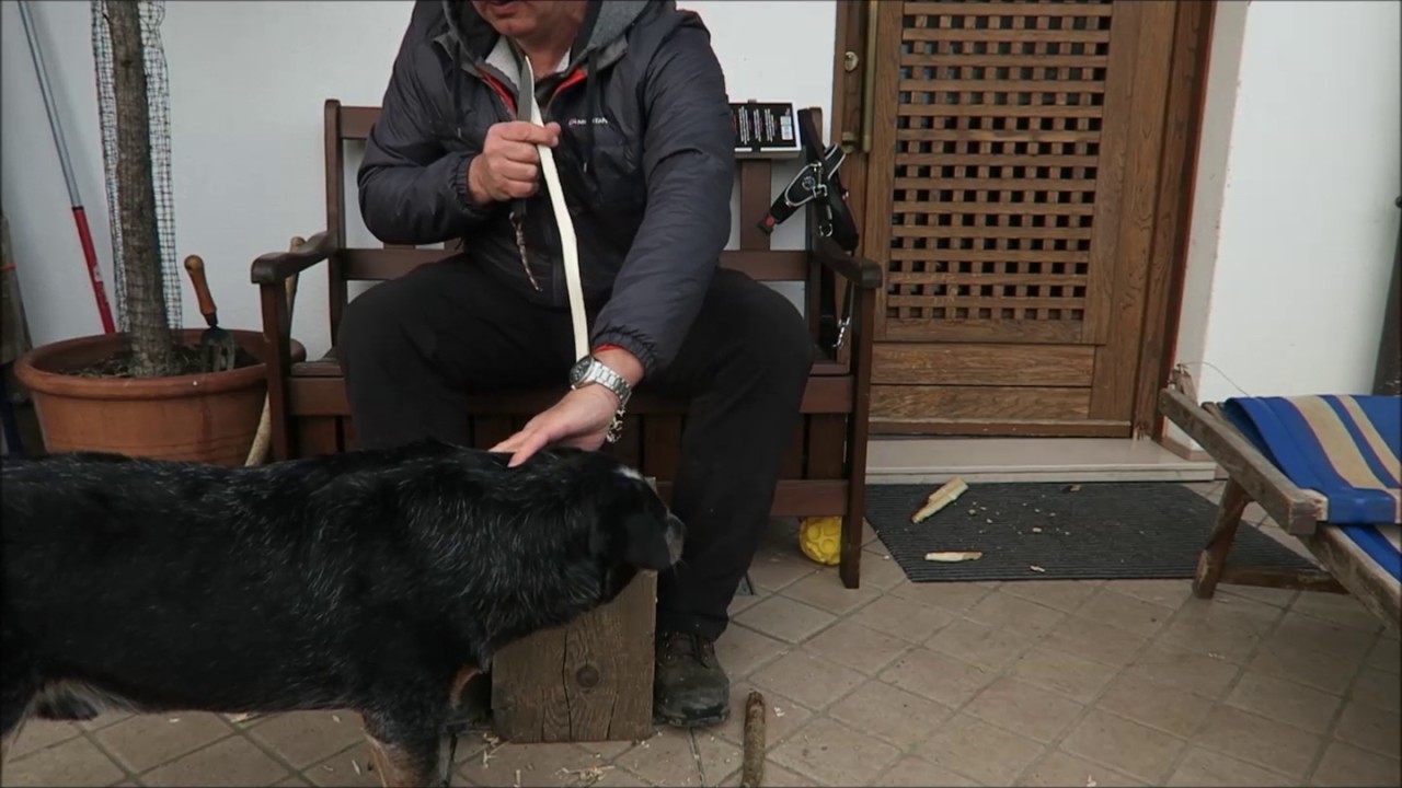 Black Fox VESUVIUS feathers stick