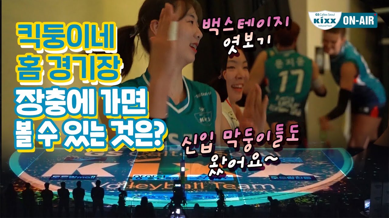 [킥스온에어] 드디어 개막한 킥둥이네 홈 경기장! 장충에 가면 볼 수 있는 것은??