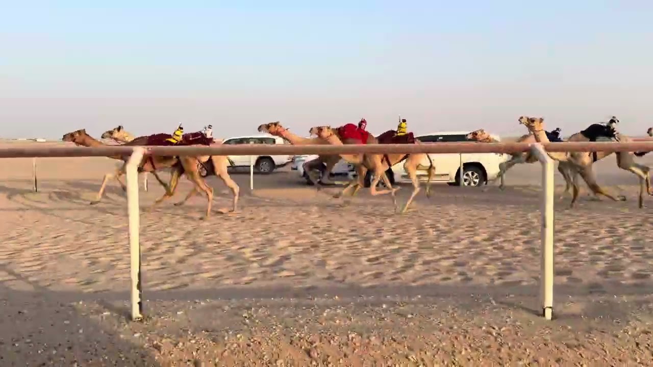 الشوط الثامن