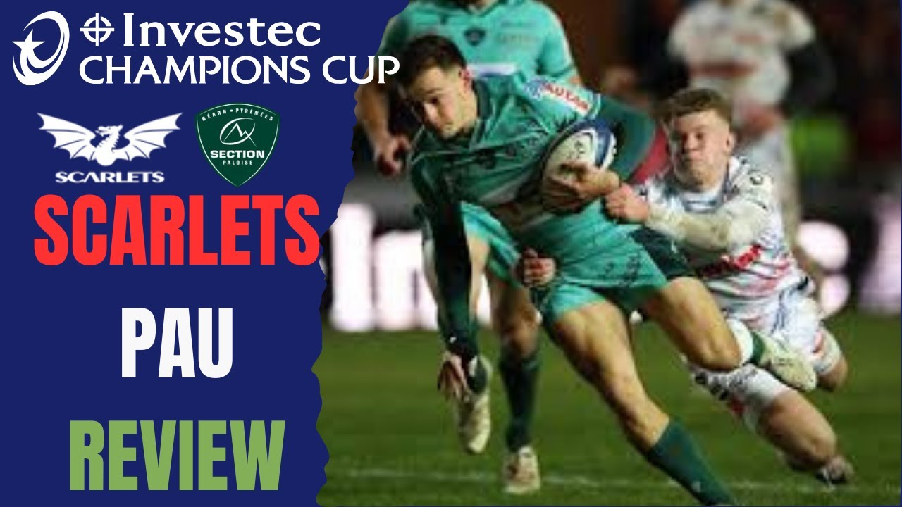 Scarlets v Pau  - Champions Cup Review 2025/26