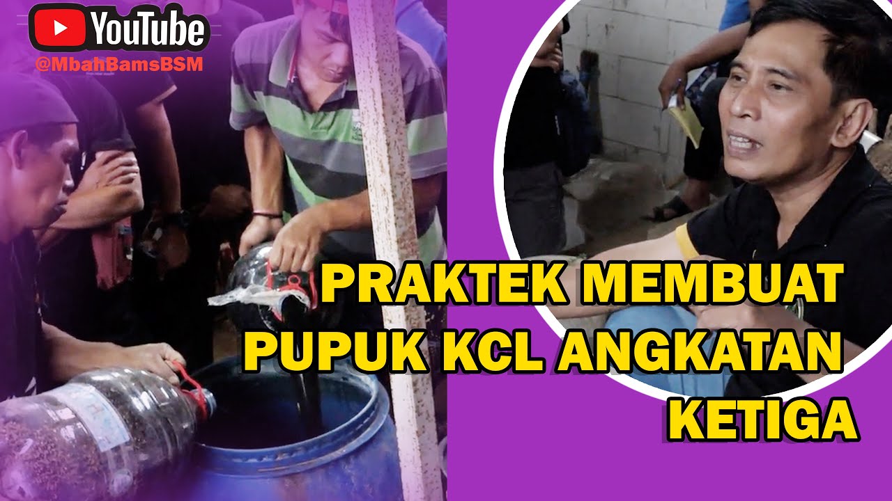 PRAKTEK MEMBUAT PUPUK KCL YG SUPER JOSS #bayudiningrat #bayusehatmandiri #pertanian