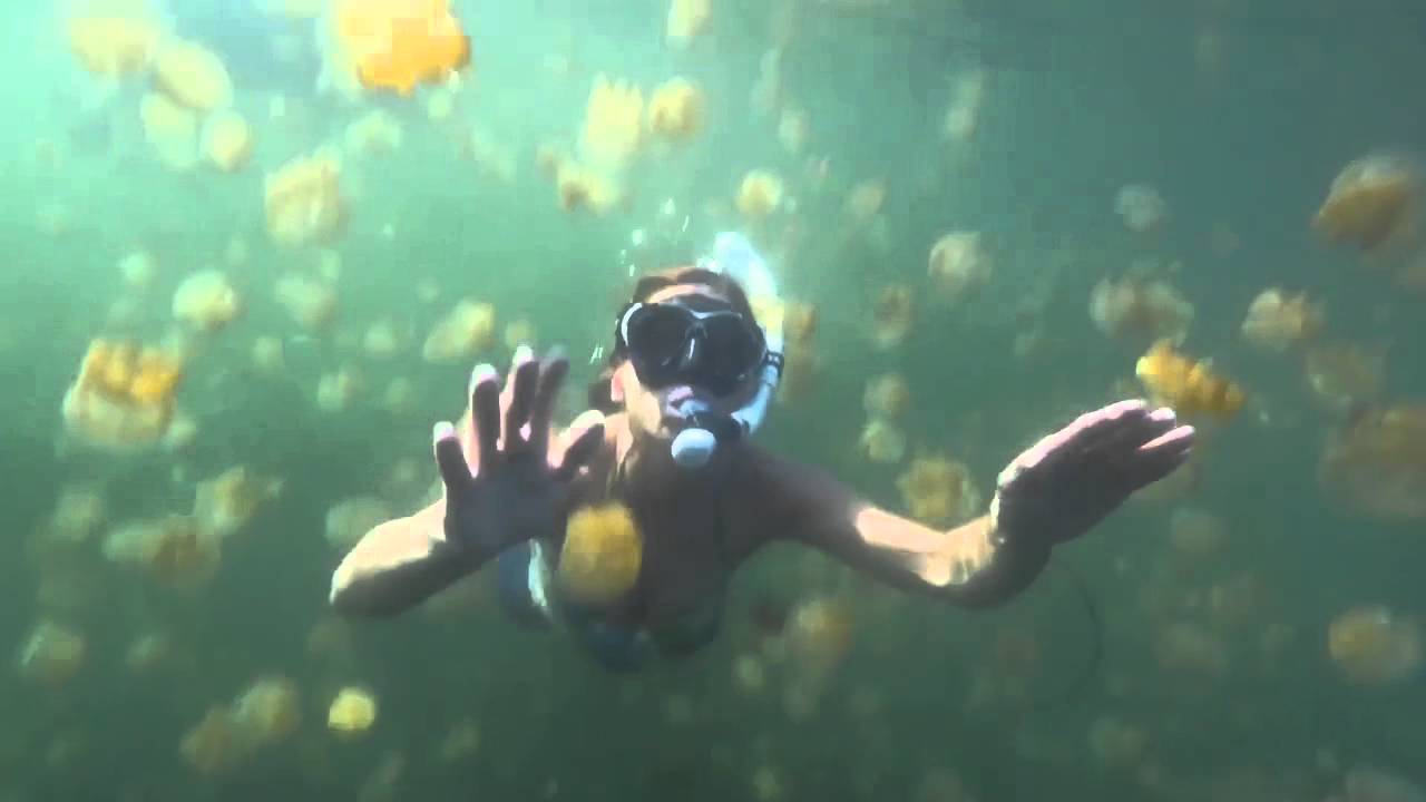 Dive Palau with the Aggressor Fleet!