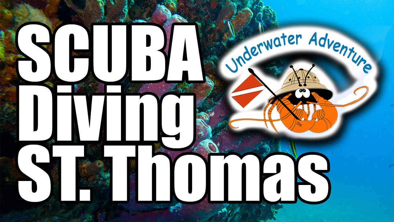 Scuba Diving in St. Thomas: Reef Exploration & Wreck Dive