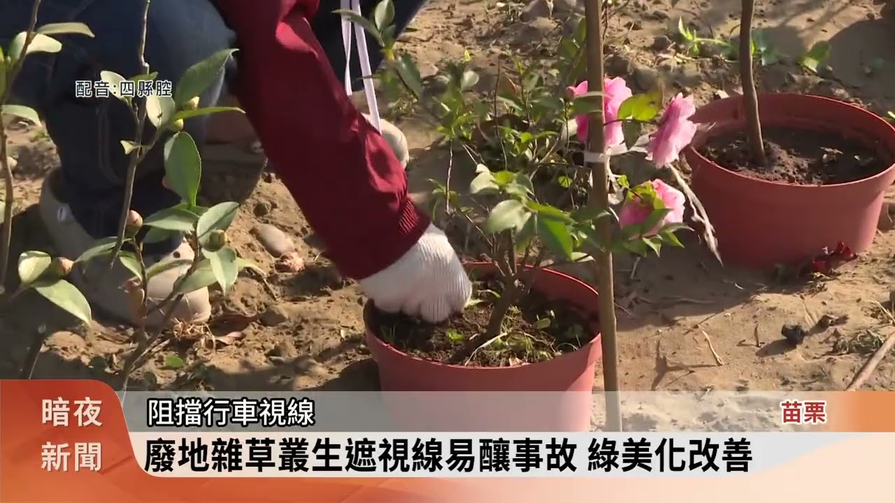 荒廢空地綠美化 竹南天文里新增社區公園【客家新聞20260203】
