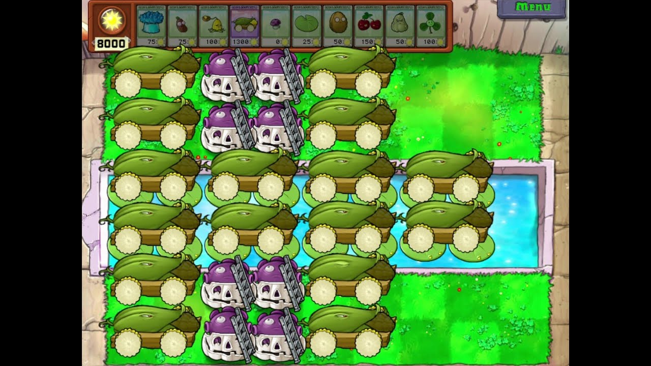 Classic 16 Cob