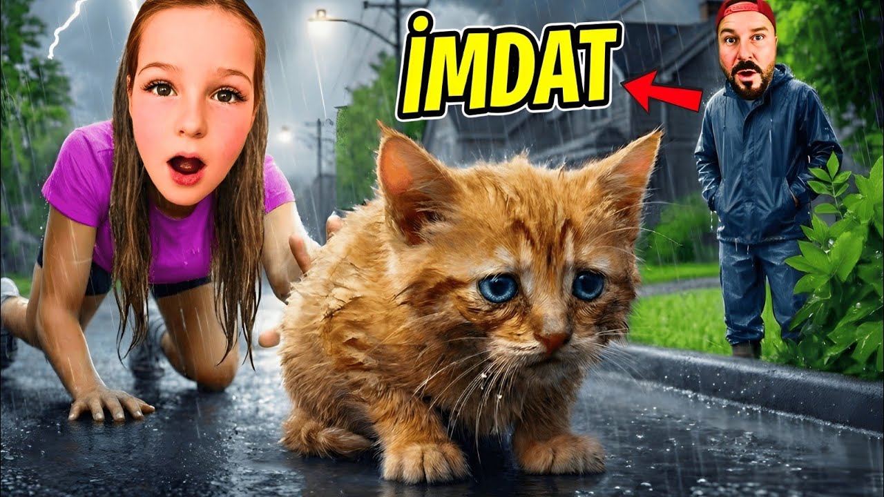 KEDİMİZ SELDE MAHSUR KALDI! ADA VE BABASI KEDİYİ KURTARABİLDİ Mİ? 