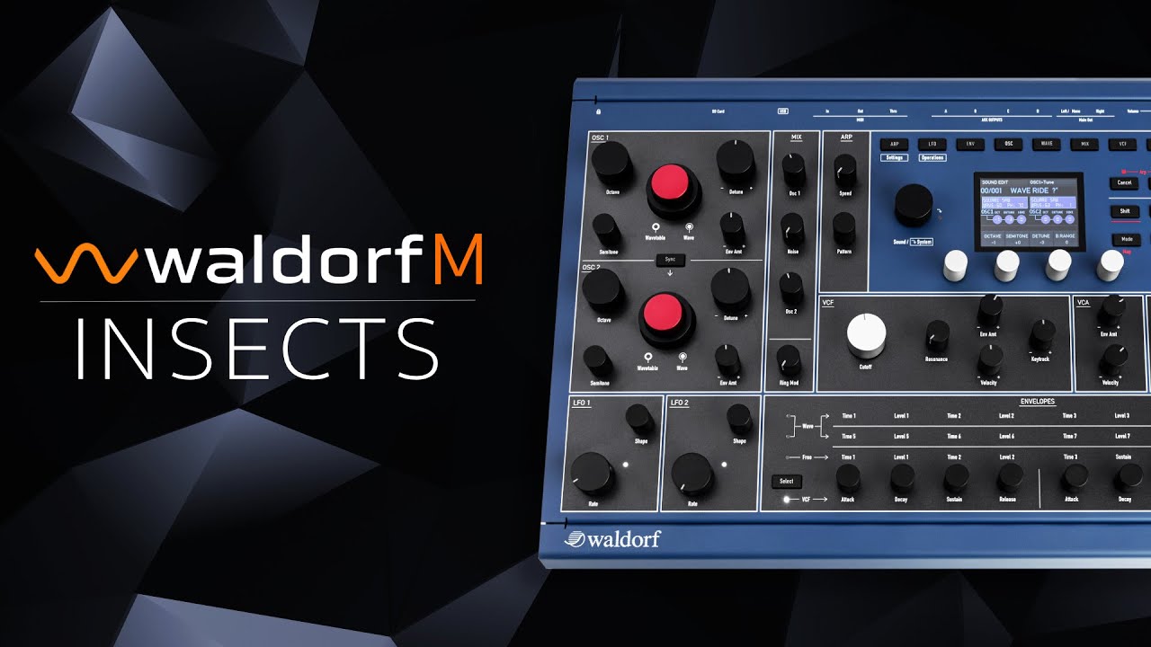Waldorf M Presets for Ambient and Techno (no talking) - Insects Sound Pack