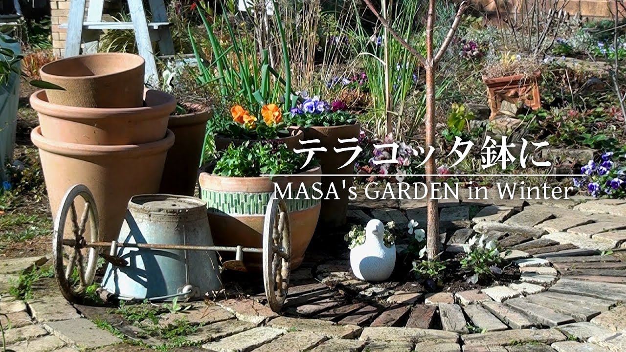 【庭Vlog】遊んでるテラコッタ鉢で遊んでみた結果