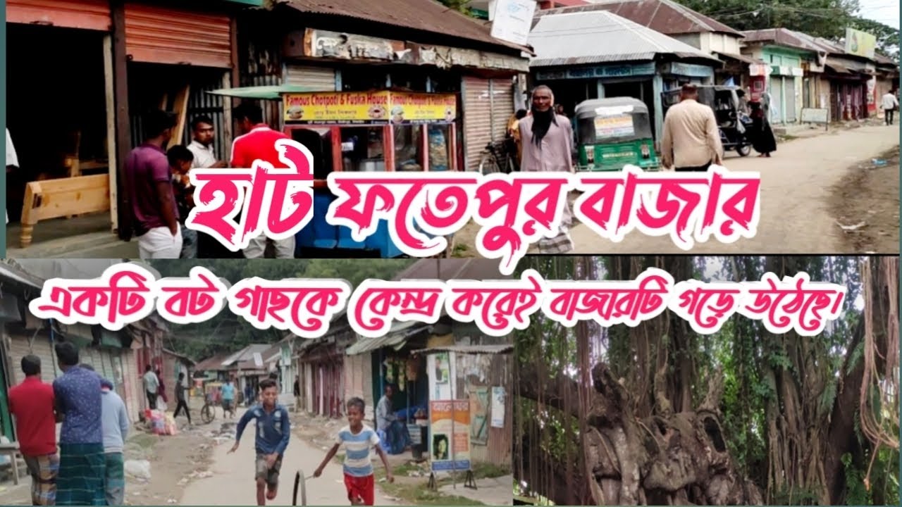 হাট ফতেপুর , মির্জাপুর, টাঙ্গাইল।