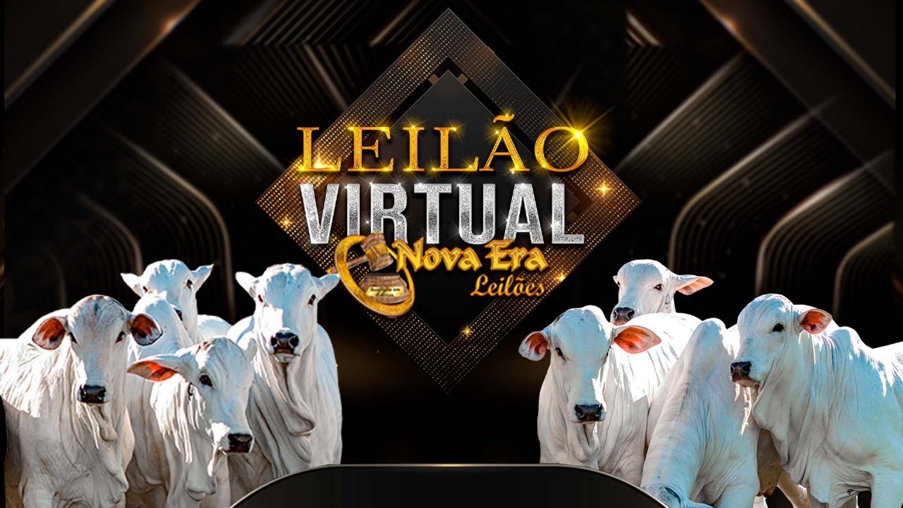 Canalleiloes.com | 🔝   🔸🔸*LEIL&Atilde;O VIRTUAL NOVA ERA LEIL&Otilde;ES- PALMAS-TO*🔸🔸