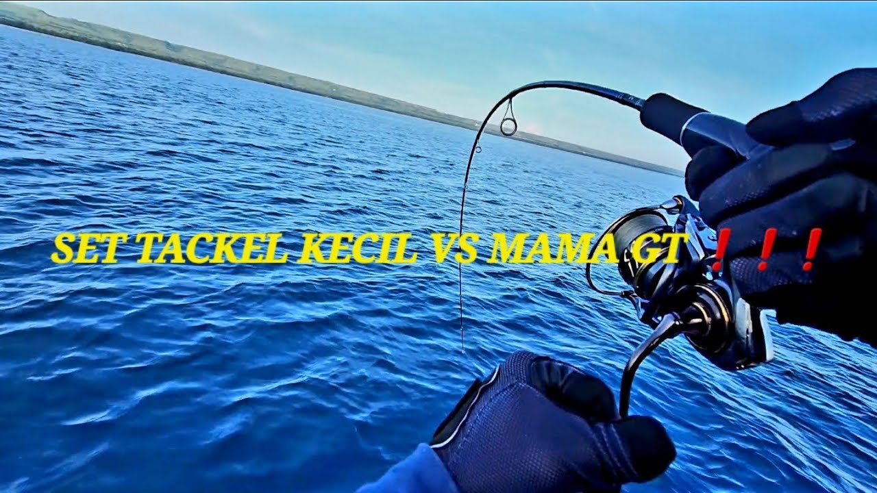 DAIWA CALDIA SW 4000 X DAIWA BLUEBACKER PE 0,8 - 1,5