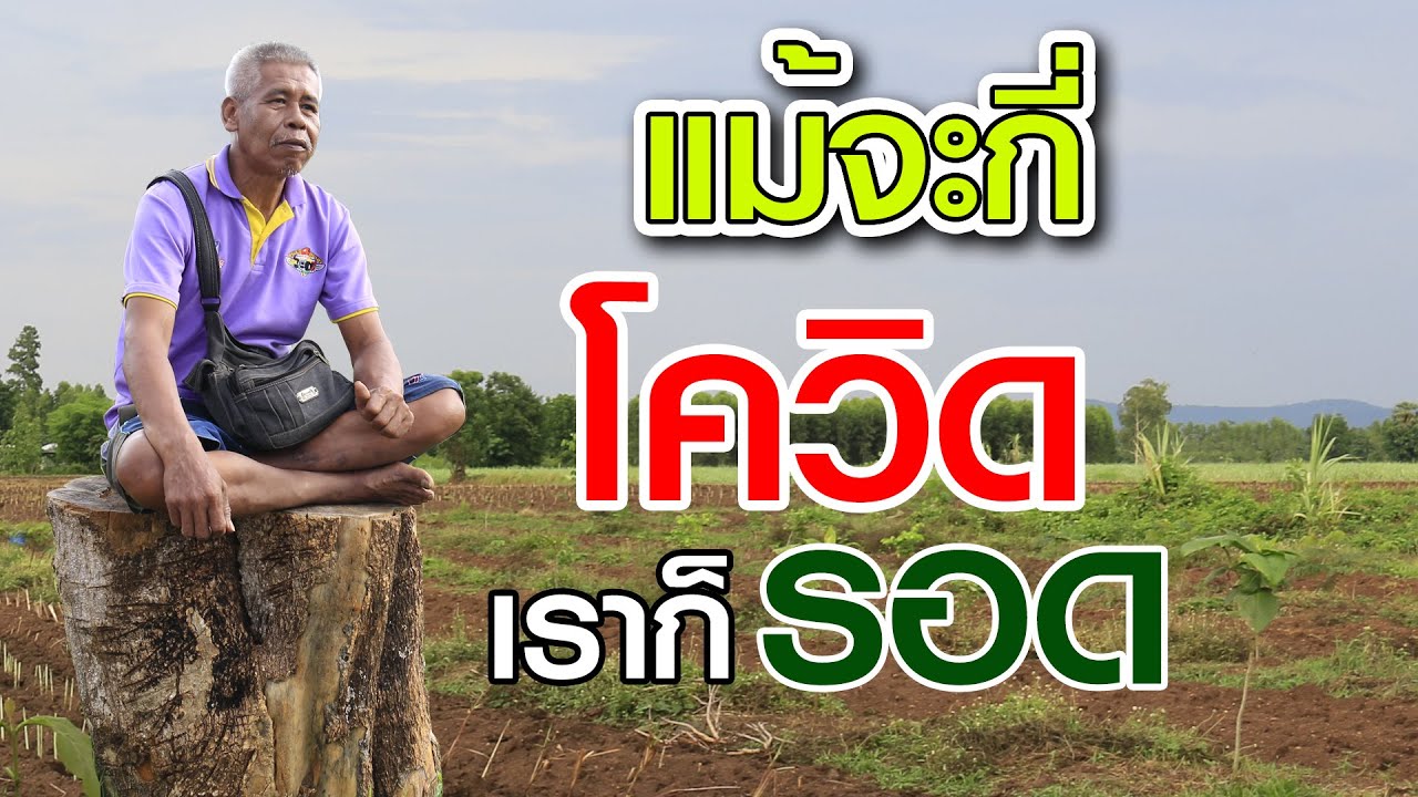 สร้างลูกน้องป่า ด้วยสมุนไพร | คนรักษ์ป่า ep 187