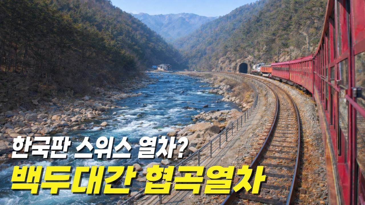대한민국 청정지역을 관통하는 국내 유일! 오지 '협곡열차' 🚂 11,700원으로 떠나는 당일치기 태백여행+물닭갈비🥘