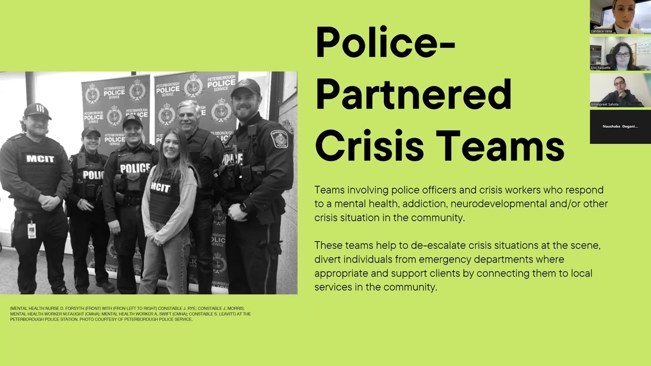 Crisis Response Teams in Ontario - Environmental Scan - Webinar - 2024-12-04