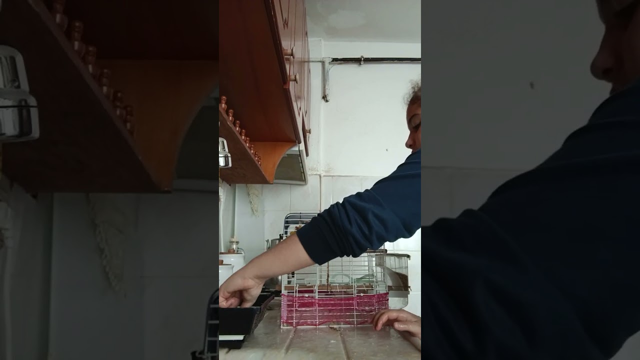 Evet arkadaşlar bir beğeninizi alırım artık 