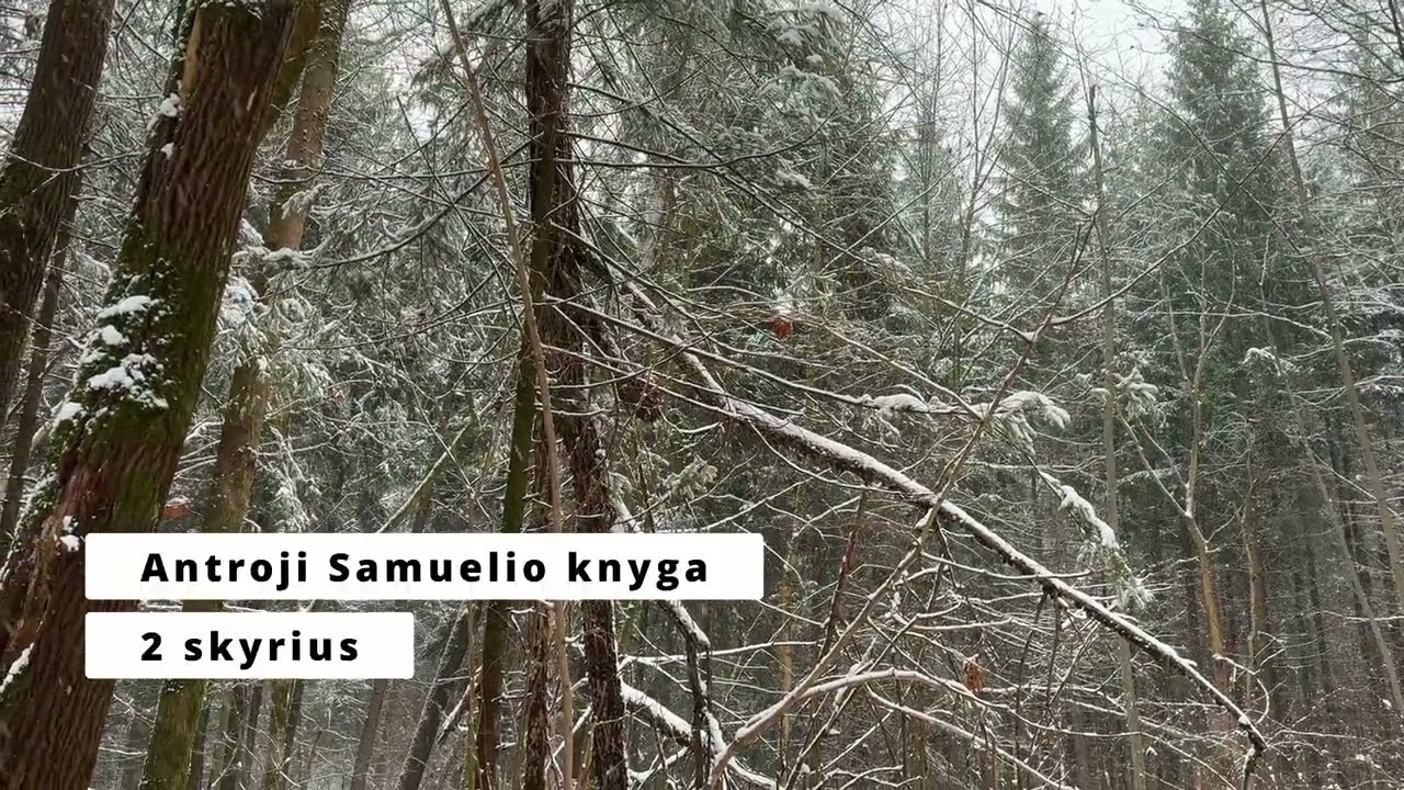 Antroji Samuelio knyga | 2 skyrius