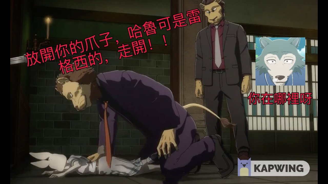 【動物狂想曲/BEASTARS】小白兔和大灰狼的跨物種虐戀