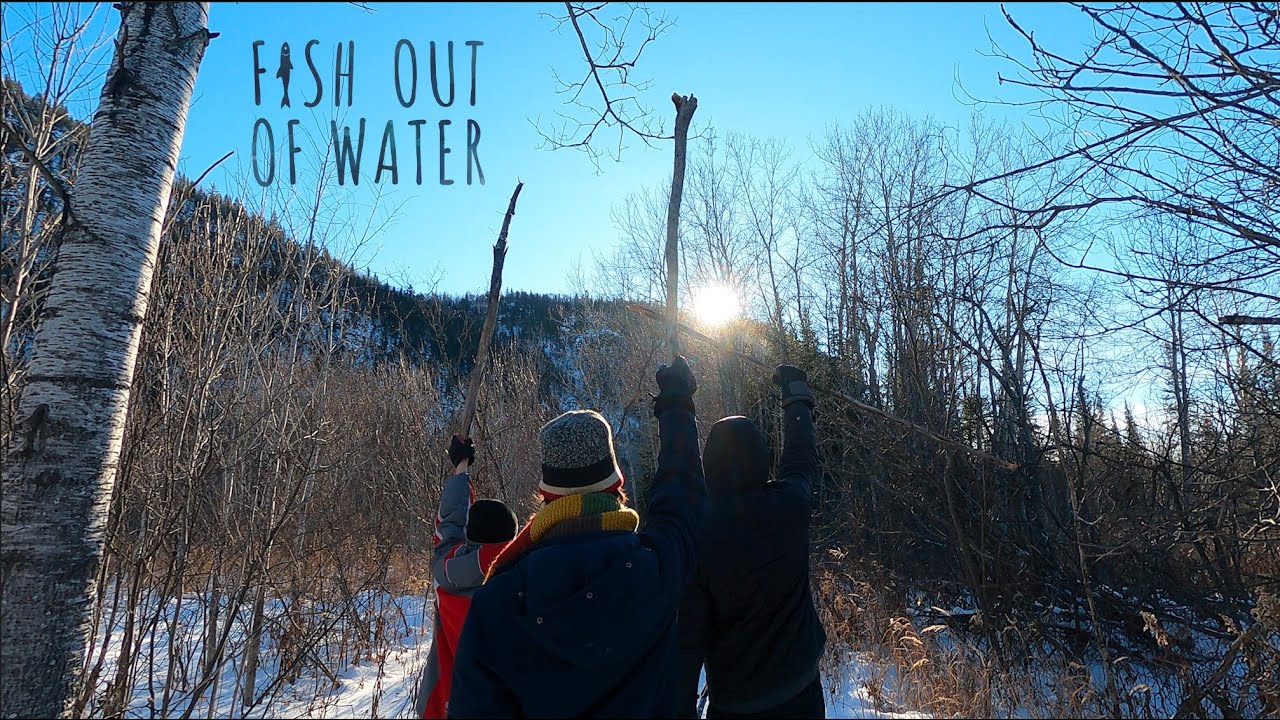 Fish Out of Water #5
