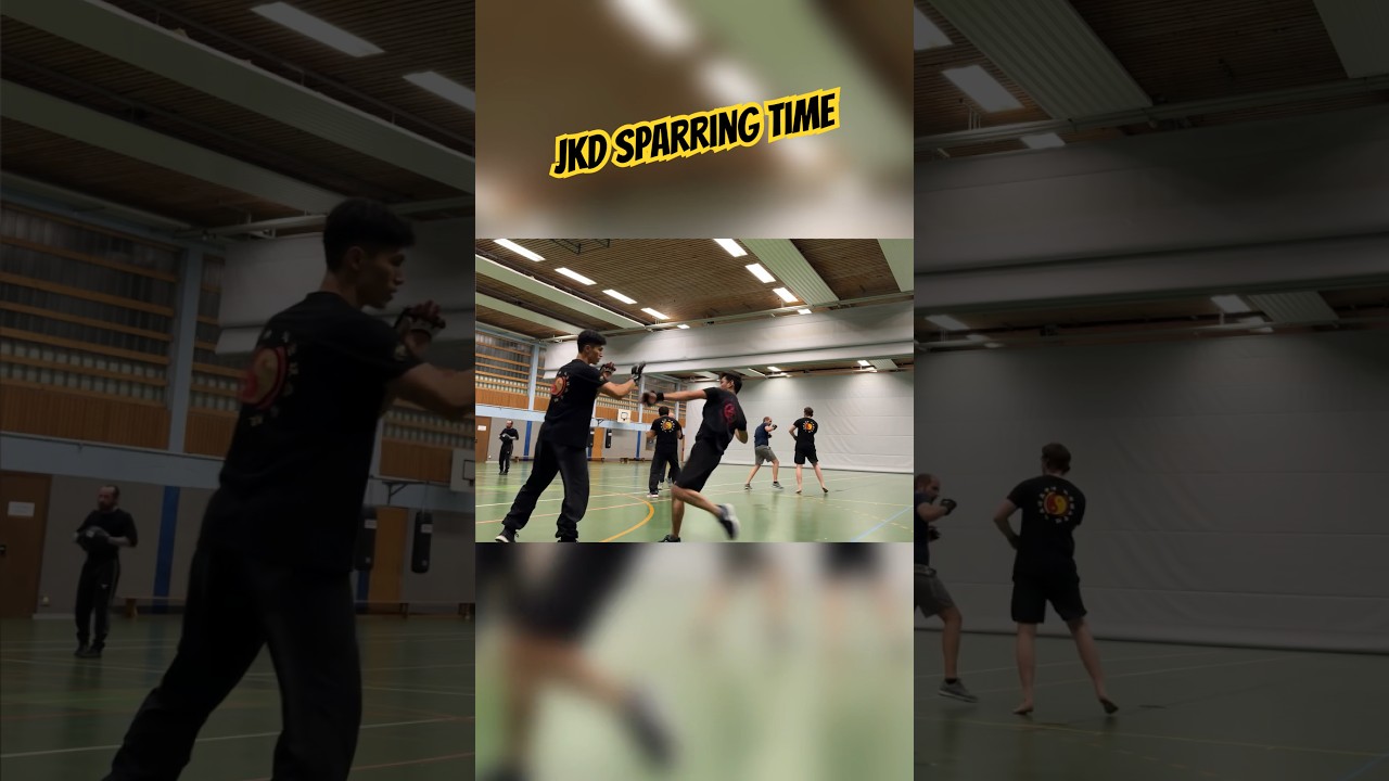 JKD Training | MMA Gloves Light Sparring #jkd #jeetkunedo #mma #sparring