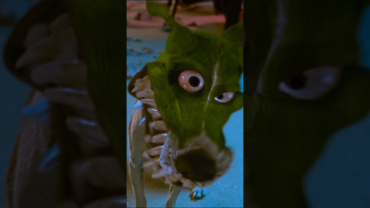 Пёс из «Маски» заслужил Оскар! #shorts