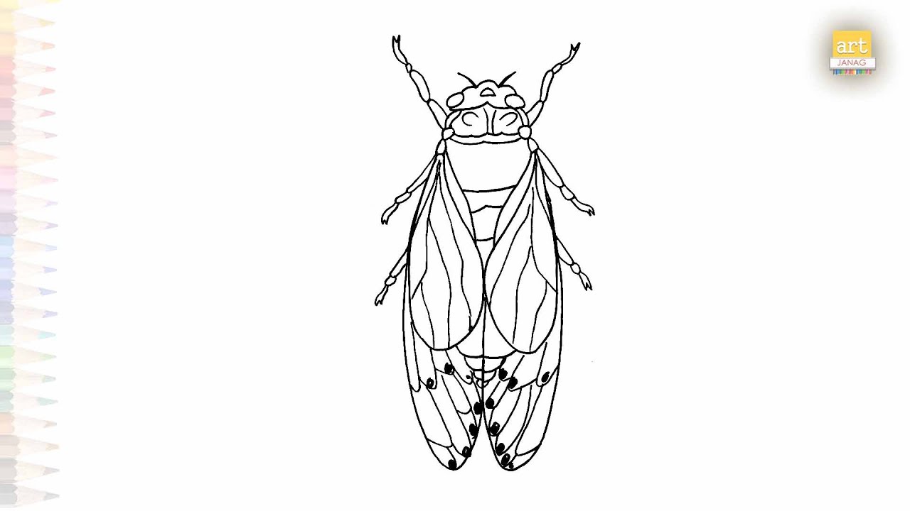 Cicada drawings easy | Insect drawing tutorial | How to draw A Cicada step by step | #artjanag