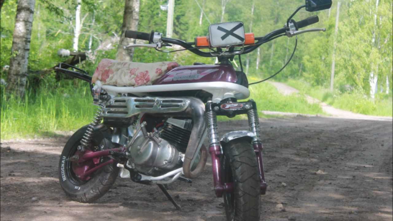 Suzuki pv projekti