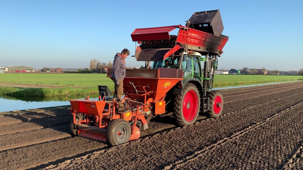 De tulpenbollen worden weer geplant op de bollenvelden
