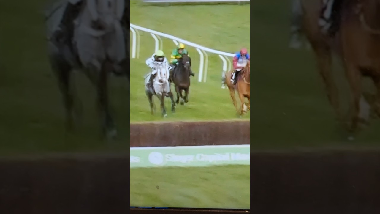 @3.20pm Cheltenham- 10 Mar 2026 - The winner is JOHNNYWHO (7) : Richie McLernon Jonjo & AJ O'Neill