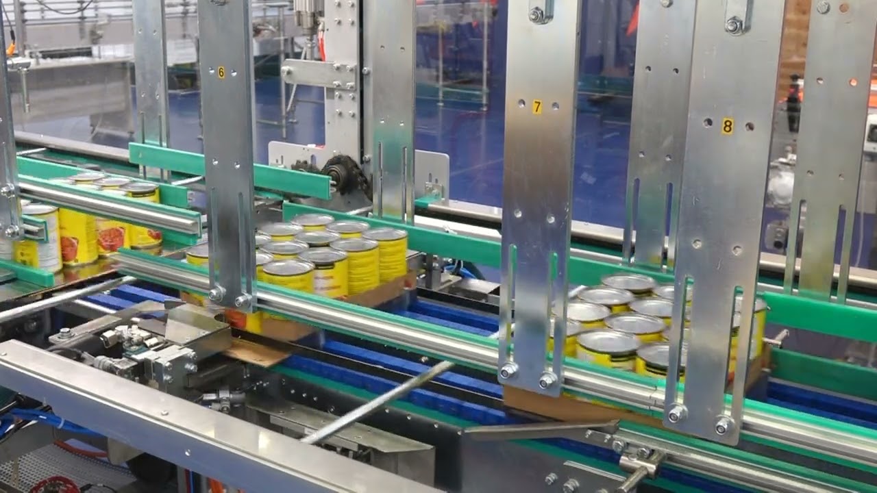 DIMAC NOVA 30T case packer packing mixed products