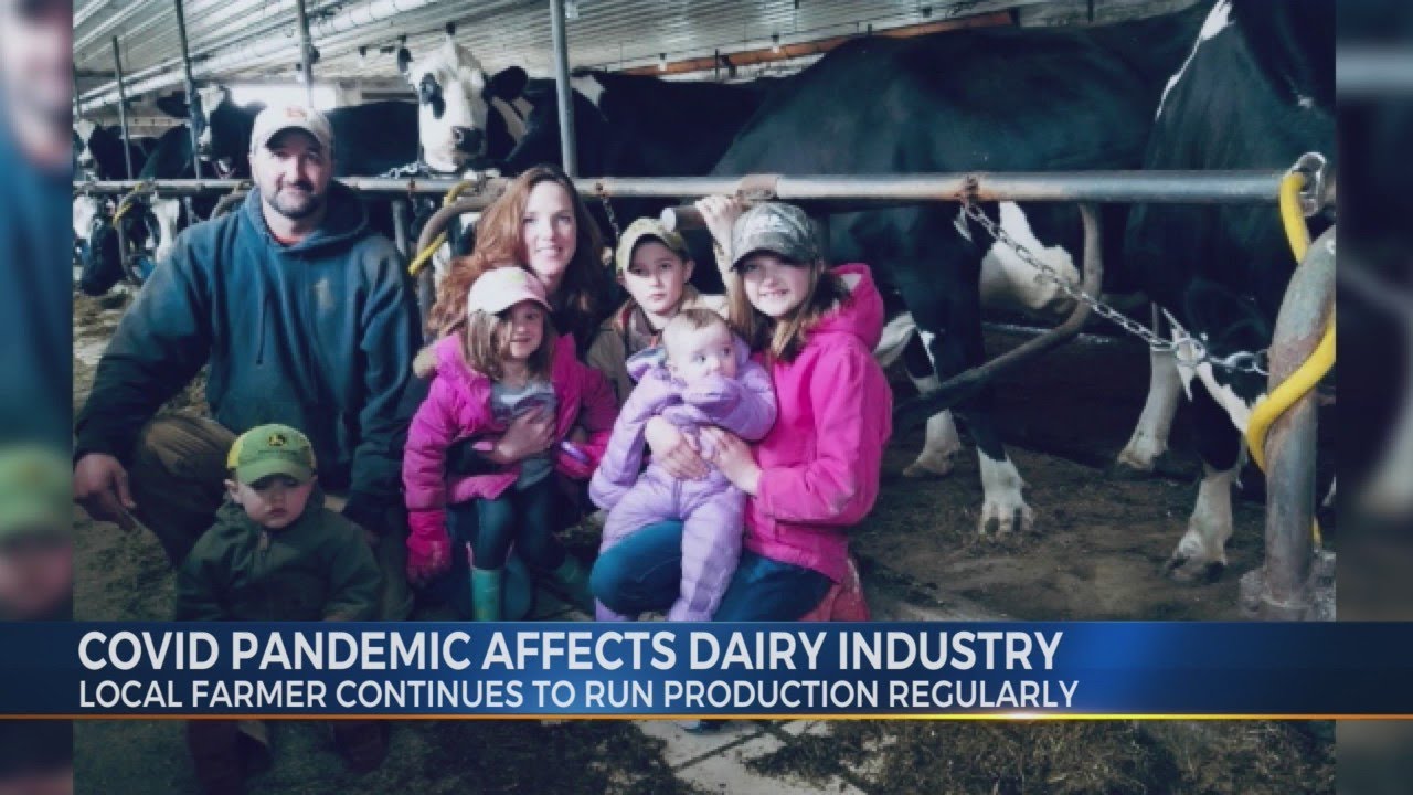 Covid pandemic affects dairy industry