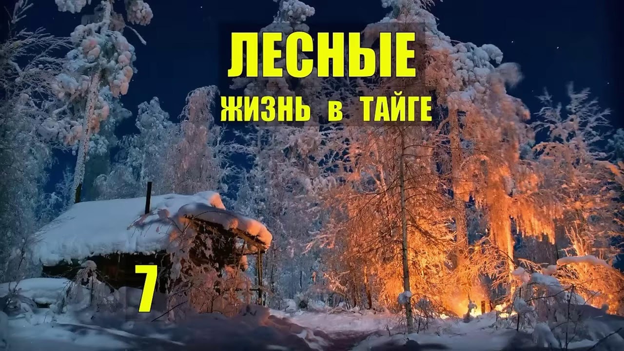 ИСТОРИИ из ЖИЗНИ РАССКАЗЫ ЛЕСНИКА ЖИЗНЬ МЕДВЕДИ ВОЛКИ в ЛЕСУ СЕРИАЛ ВСЕ СЕРИИ