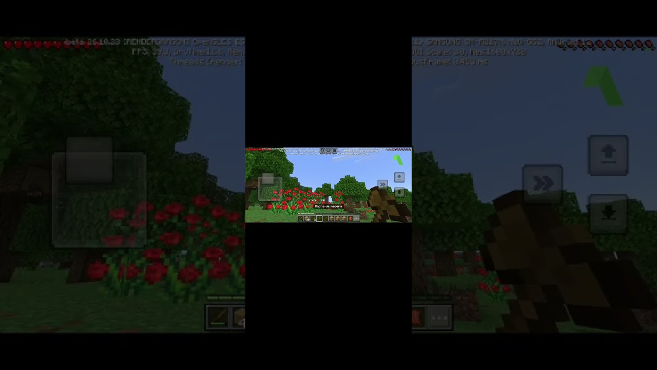 Jugando a Minecraft
