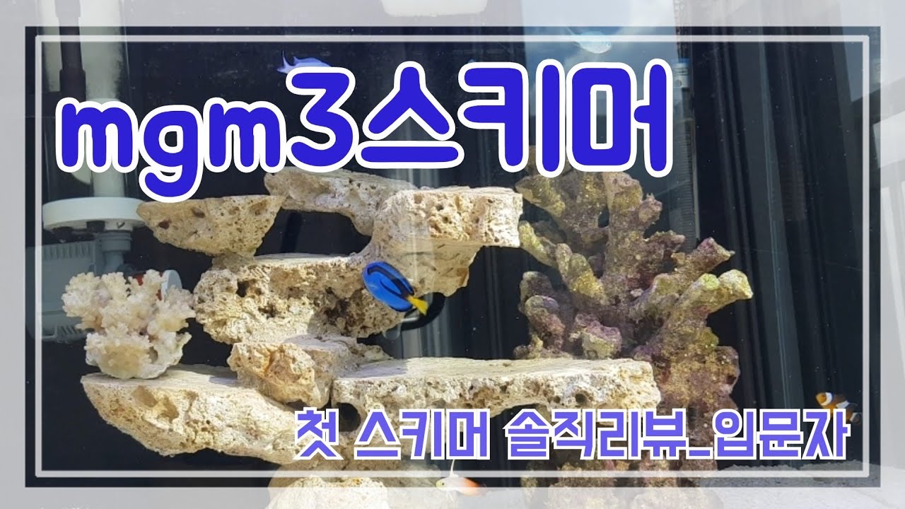 제스트mgm3스키머리뷰(가성비)/블루탱(도리)네덕에 스키머샀다, 니모키우기5번째이야기,스키머추천/ 해수어입문자_스키머안써보면 모르지만 써보니 좋네요