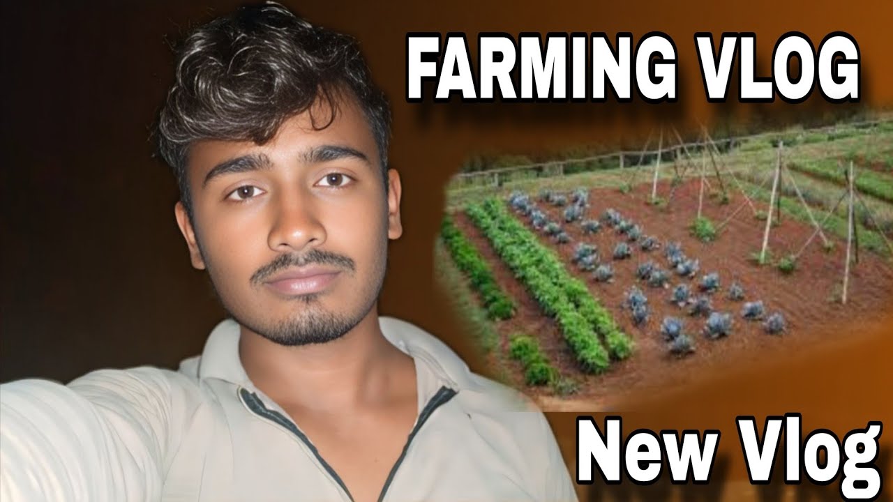 Farming Vlogs.  Kheti Badi kaise karte Hai 🌾