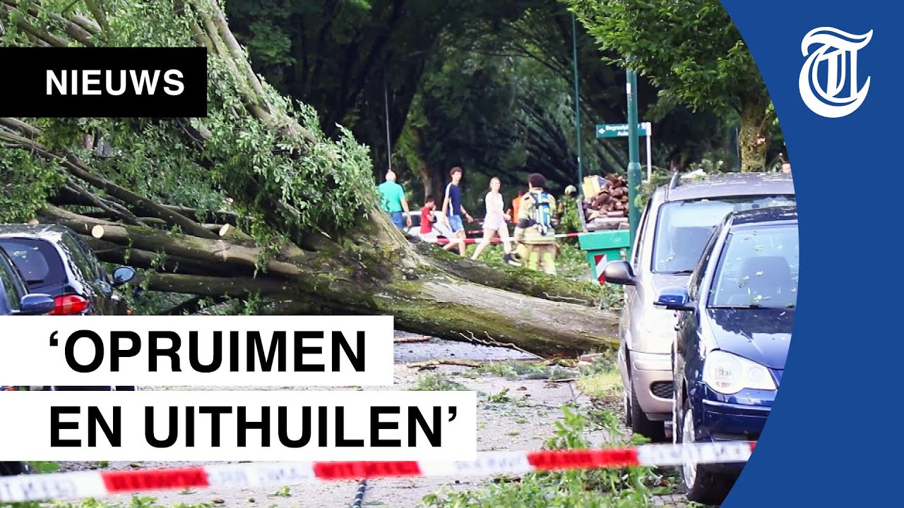 Enorme schade na storm: 'Zag van alles door de tuin vliegen'