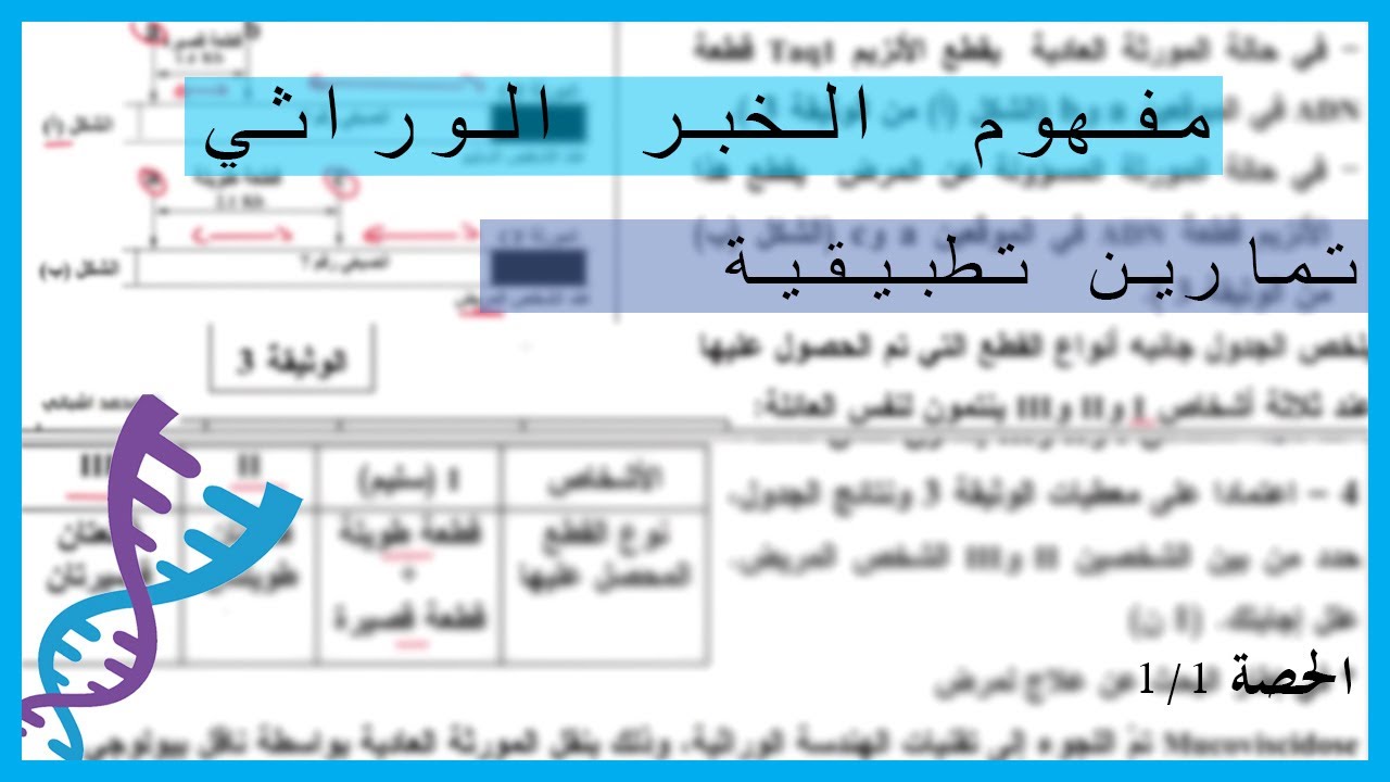 تمارين في مفهوم الخبر الوراثي | الهندسة الوراثية