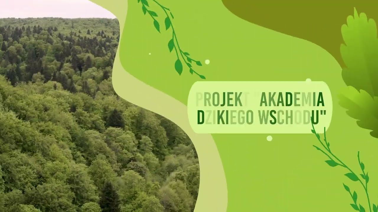 Akademia Dzikiego Wschodu - odcinek 1: O projekcie